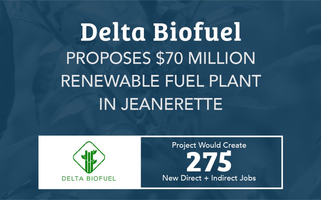 Delta Biofuel Proposes $70 Million Renewable Fuel Plant In Jeanerette